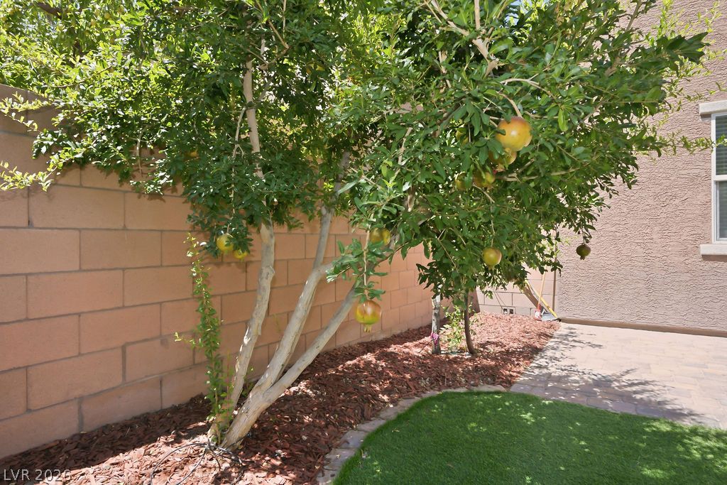 Photo 10 of 50, 8727 Cerrito Canyon Court