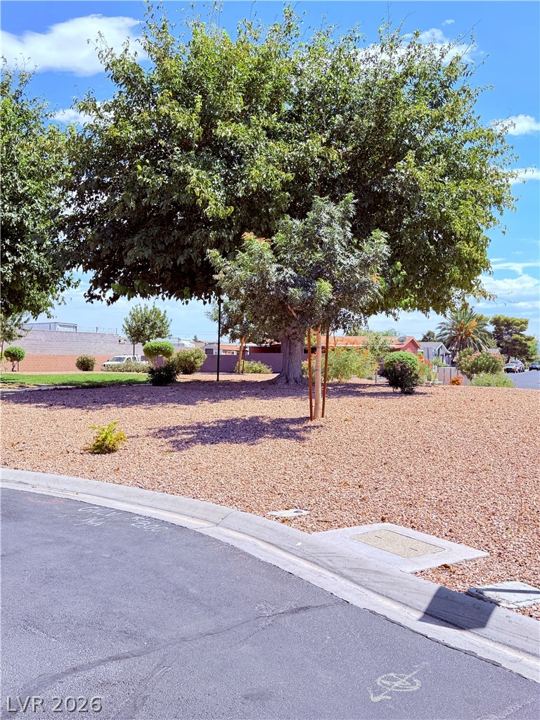 Photo 5 of 4182 Queen Isabel Court