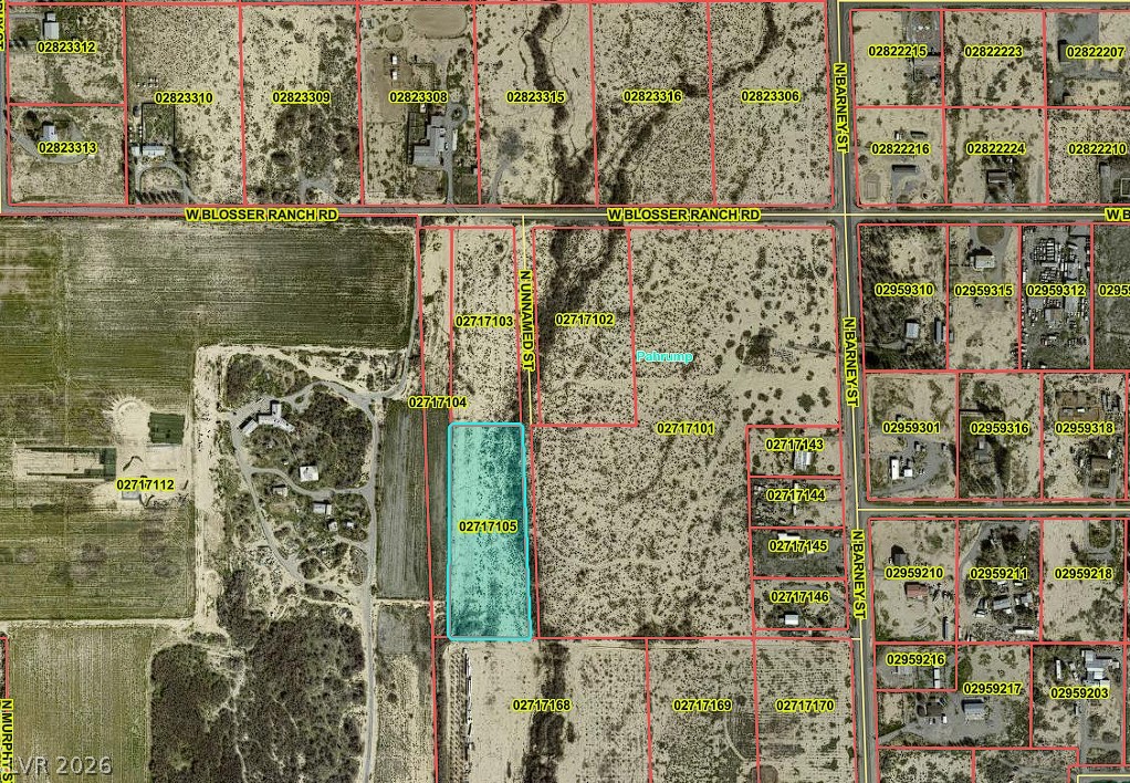 3190 W Effinger Street, Pahrump