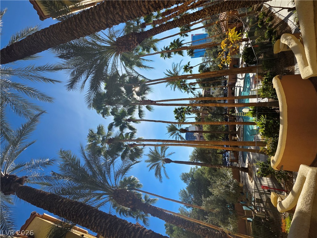 Photo 10 of 39, 210 E Flamingo Road #101