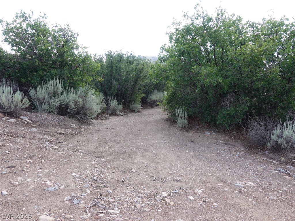 Photo 16 of 36, Lovell Canyon Road Lot 2