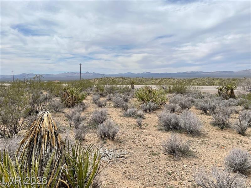 US 95, Searchlight 89046