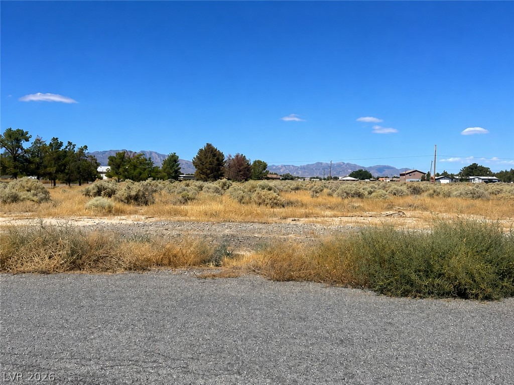 3750 S Underbrush Avenue, Pahrump 89048