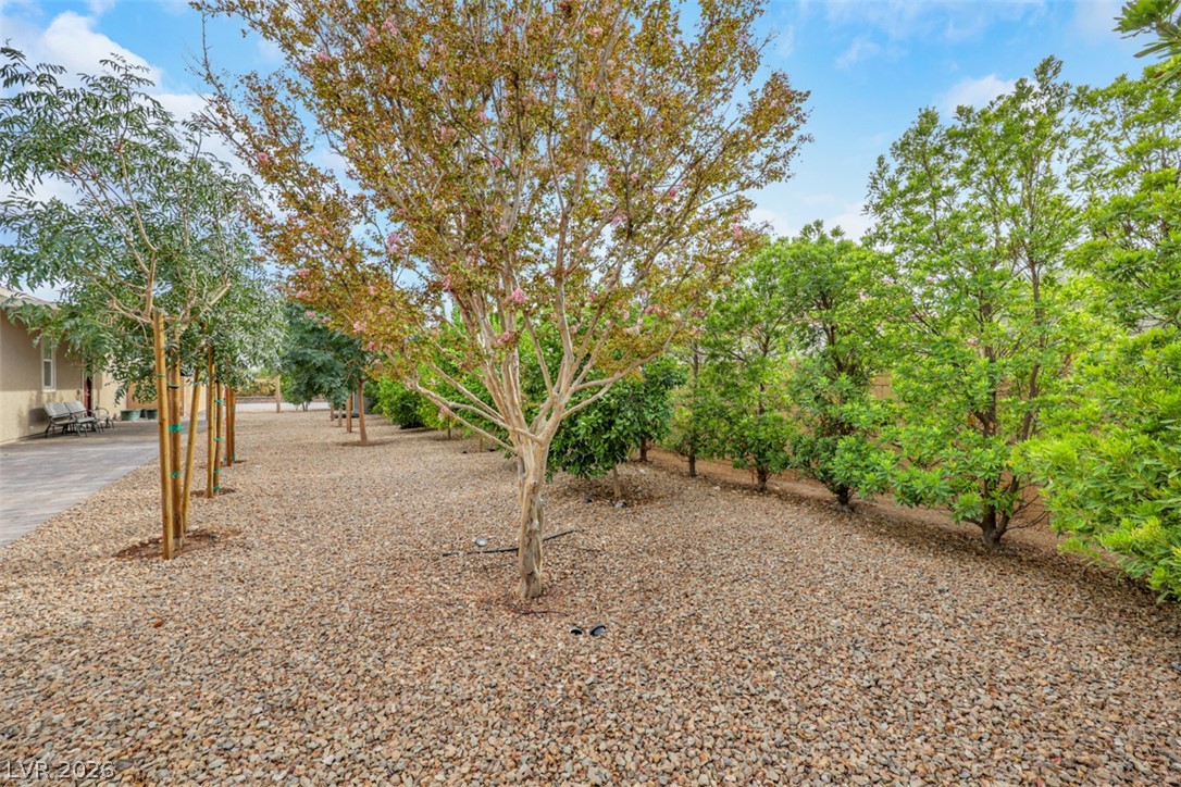 Photo 72 of 94, 8425 S Tenaya Way