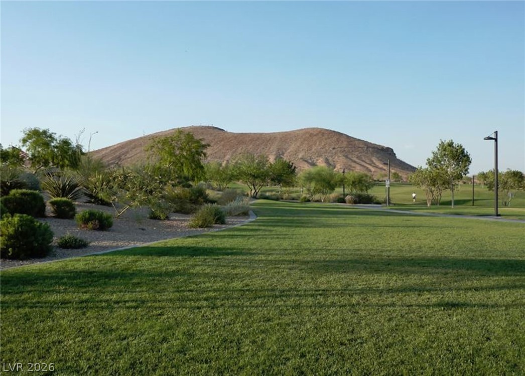 Photo 47 of 47, 10571 Aloe Springs Street