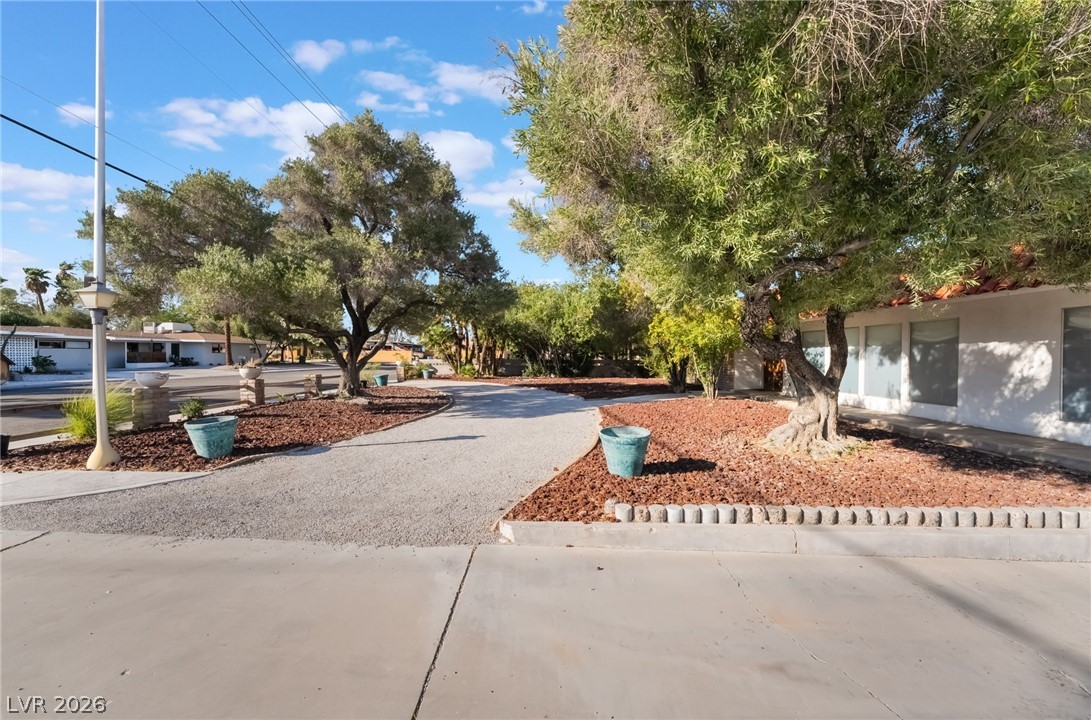 Photo 5 of 909 Cashman Drive