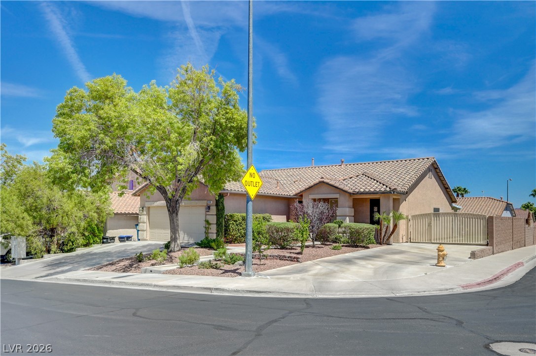 1018 Snow Bunting Court, Henderson