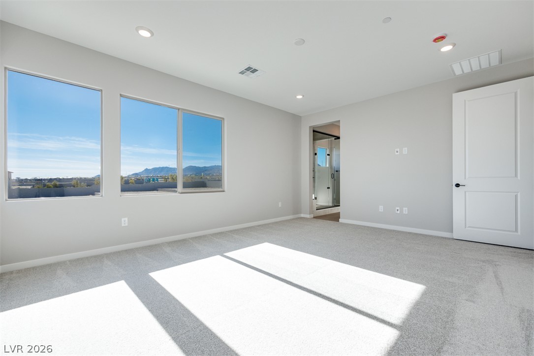 Photo 22 of 28, 10473 Mountain Aster Avenue