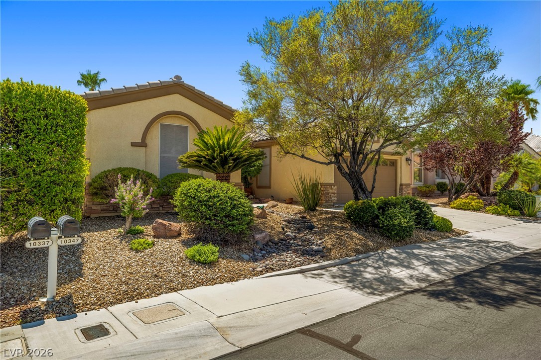 Photo 3 of 10347 Profeta Court