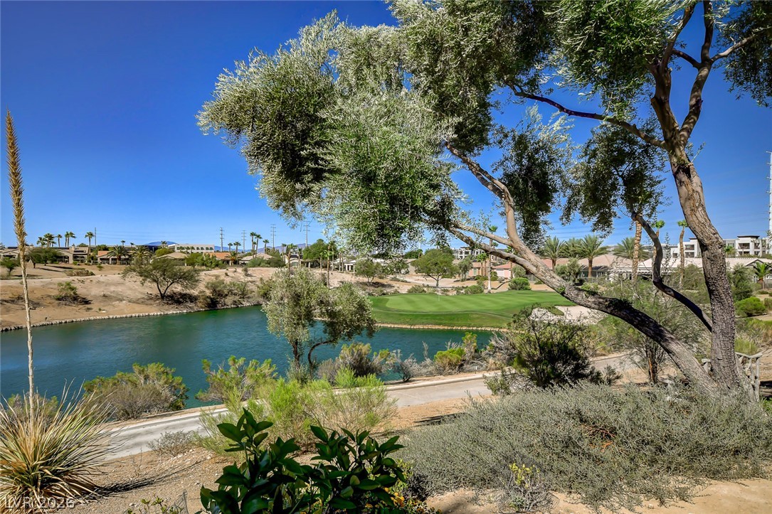 Photo 65 of 81, 10266 Romantico Drive