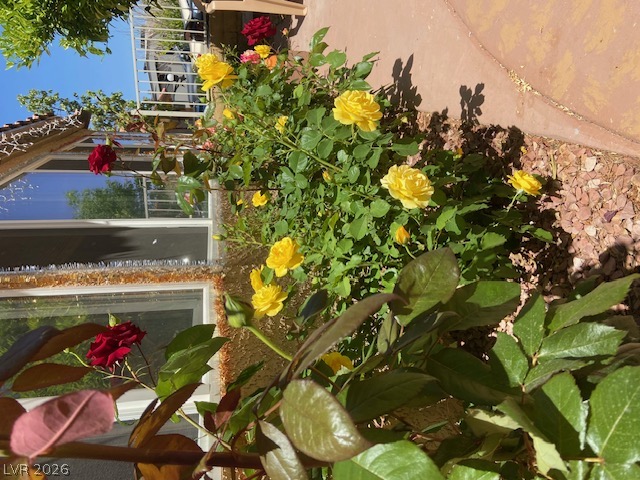 Photo 49 of 53, 3877 Platis Circle