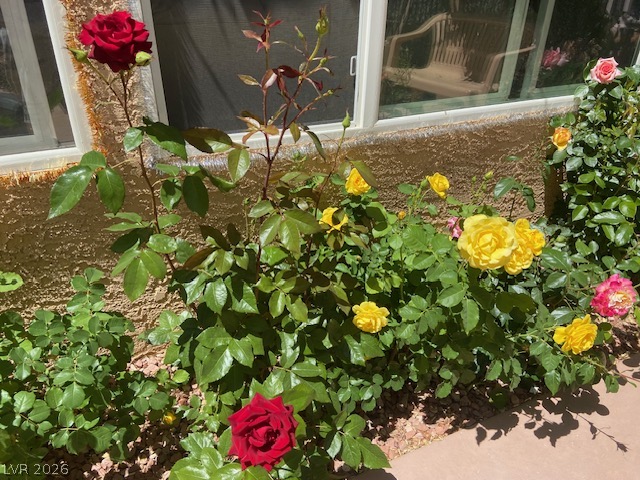 Photo 50 of 53, 3877 Platis Circle