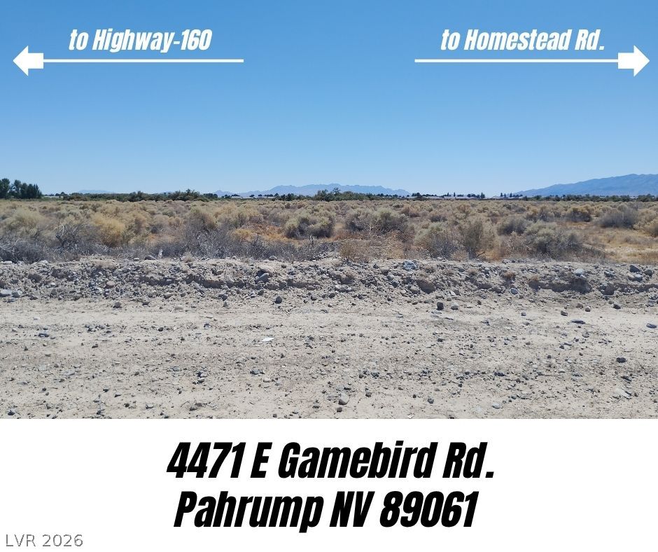 4471 E Gamebird Road, Pahrump 89061