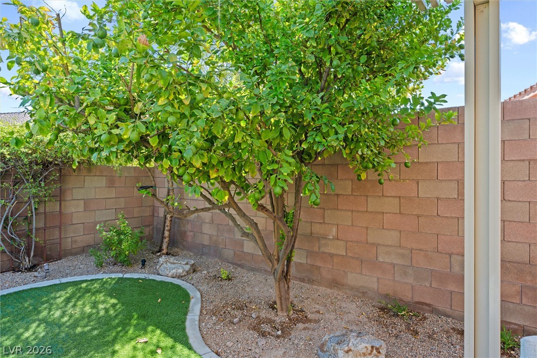 Photo 33 of 50, 1060 Via Nandina Place