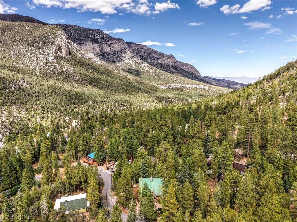 Photo 47 of 58, 322 Ski Trail Road