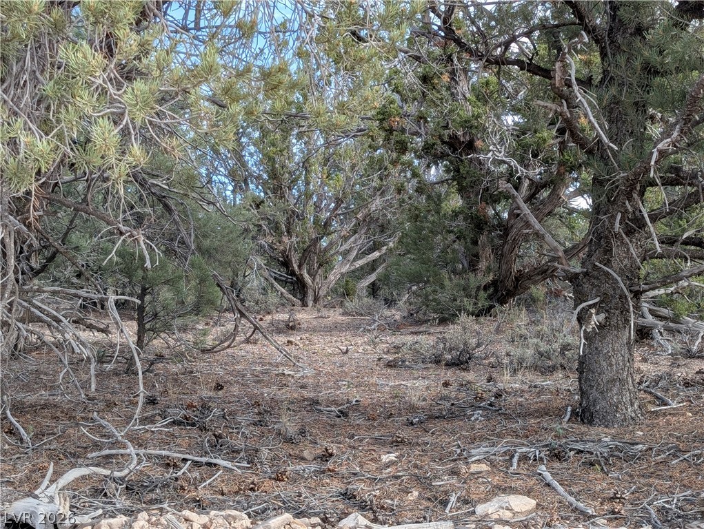 Photo 12 of 20, Lot 1-C Side Hill Pass