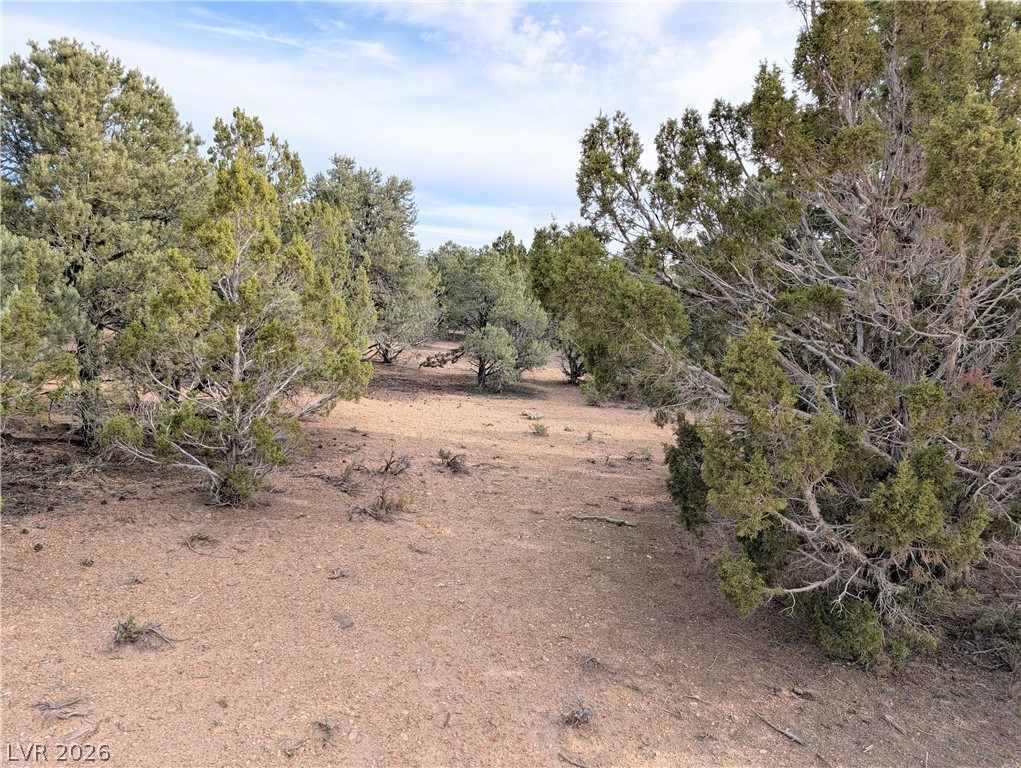 Lot 1-C Side Hill Pass, Pioche 89043