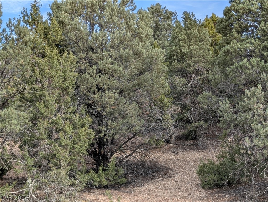 Photo 5 of Lot 1-C Side Hill Pass