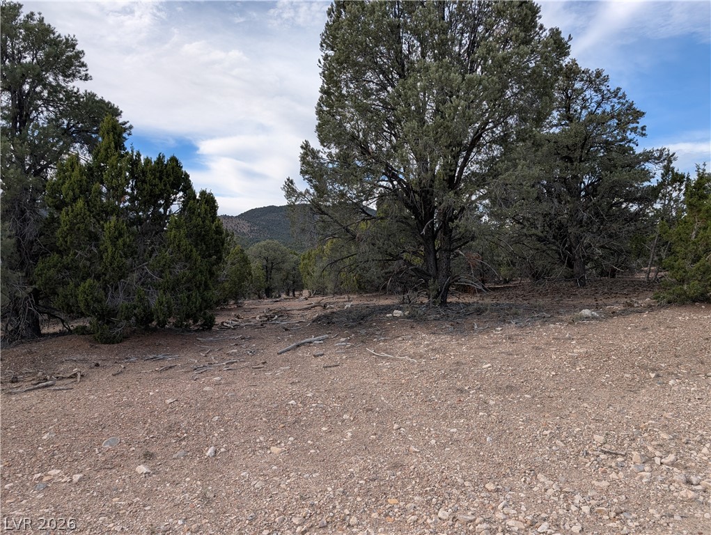 Photo 5 of Lot 1-D Side Hill Pass