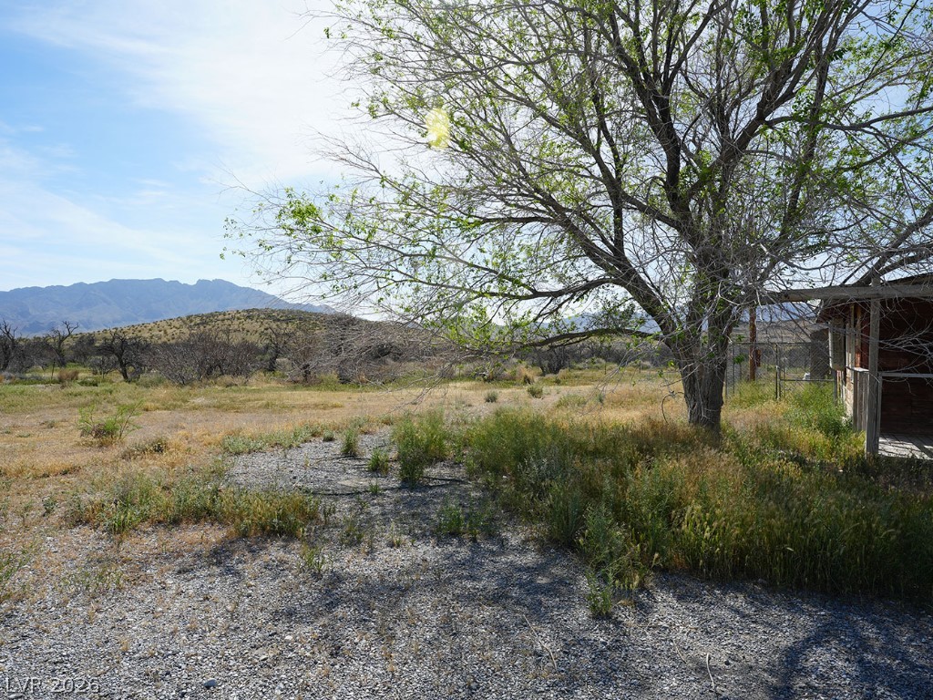 Photo 36 of 50, 4031 Moapa Street