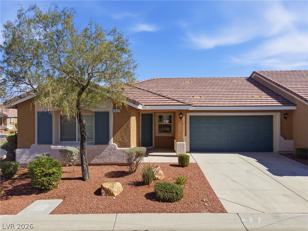 5397 Blue Oat Avenue, Las Vegas 89141