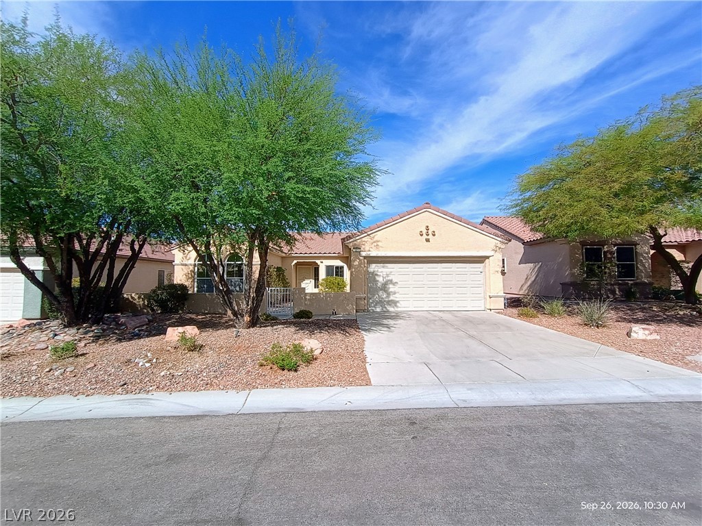 Henderson 89052