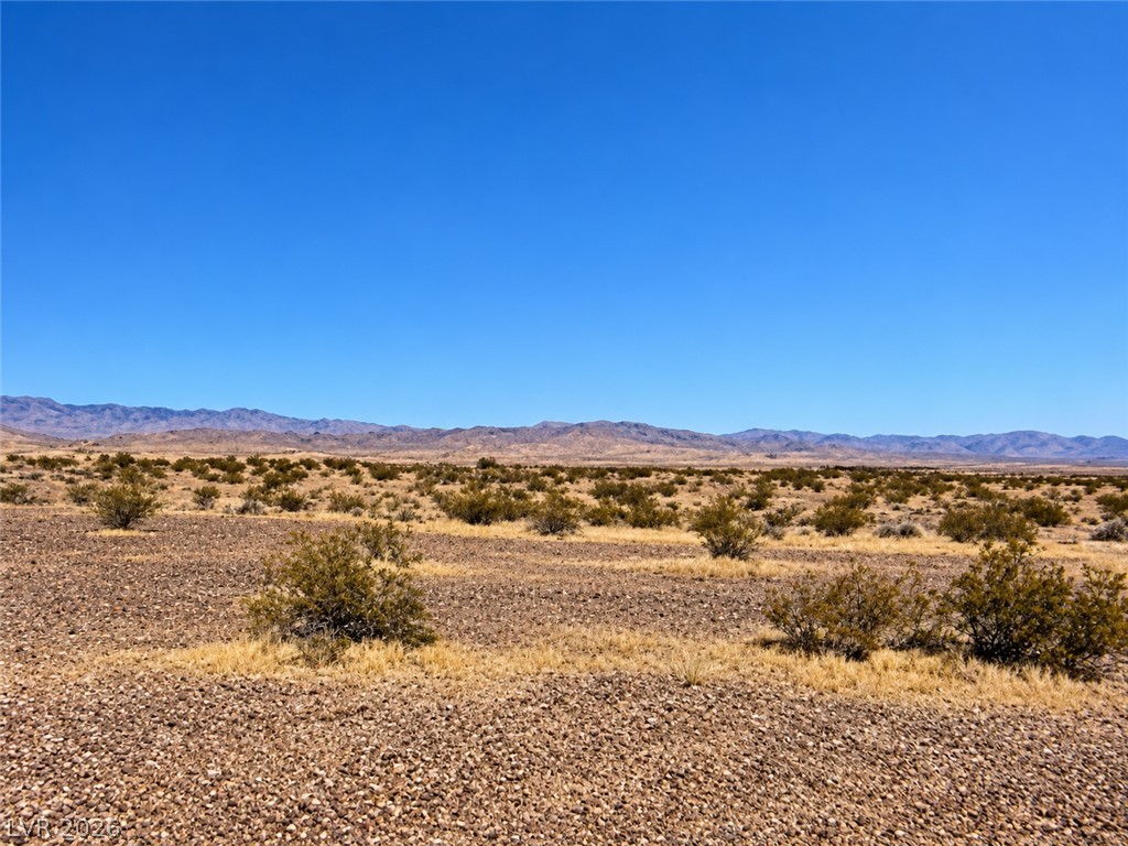 6461 N Jungle Avenue, Pahrump