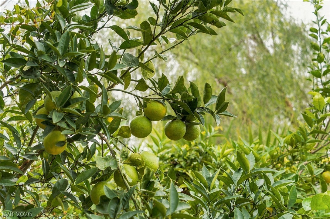 Photo 37 of 60, 8622 Amber Autumn Street