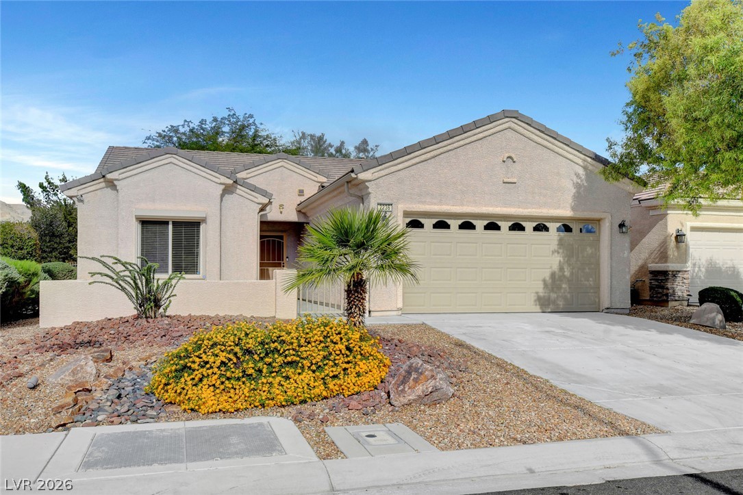 2236 Night Parrot Avenue, North Las Vegas
